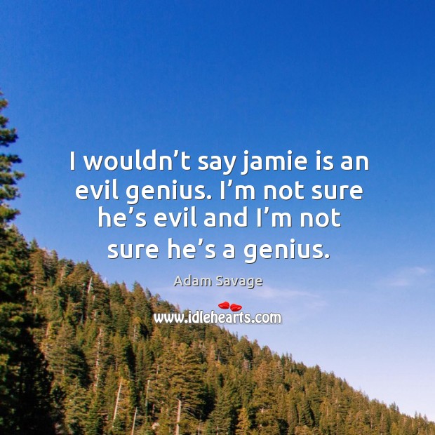 I wouldn’t say jamie is an evil genius. I’m not sure he’s evil and I’m not sure he’s a genius. Adam Savage Picture Quote