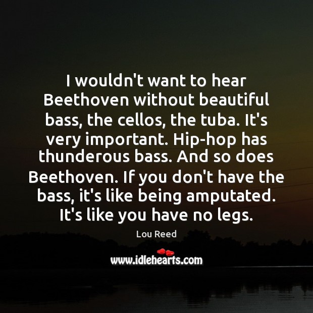 I wouldn’t want to hear Beethoven without beautiful bass, the cellos, the Lou Reed Picture Quote