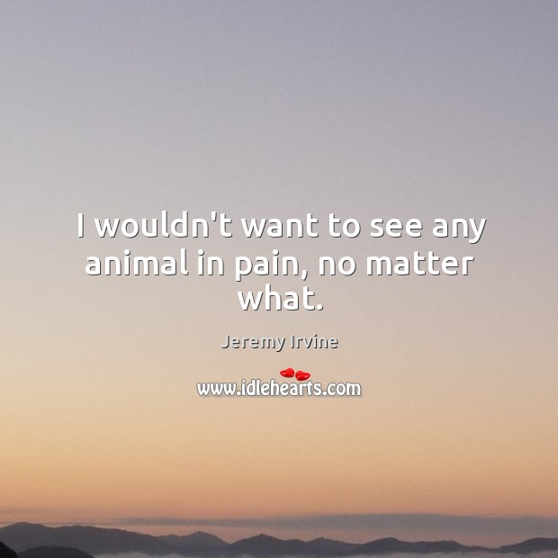 I wouldn’t want to see any animal in pain, no matter what. Jeremy Irvine Picture Quote
