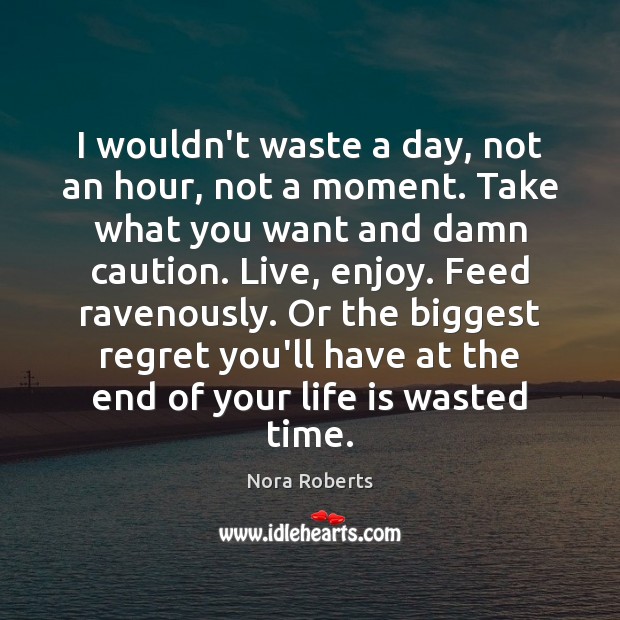 I wouldn’t waste a day, not an hour, not a moment. Take Nora Roberts Picture Quote