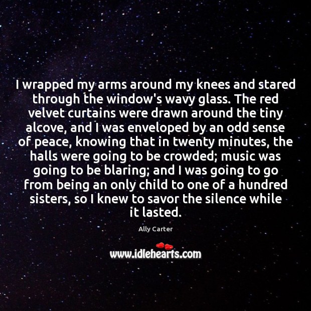 I wrapped my arms around my knees and stared through the window’s Image