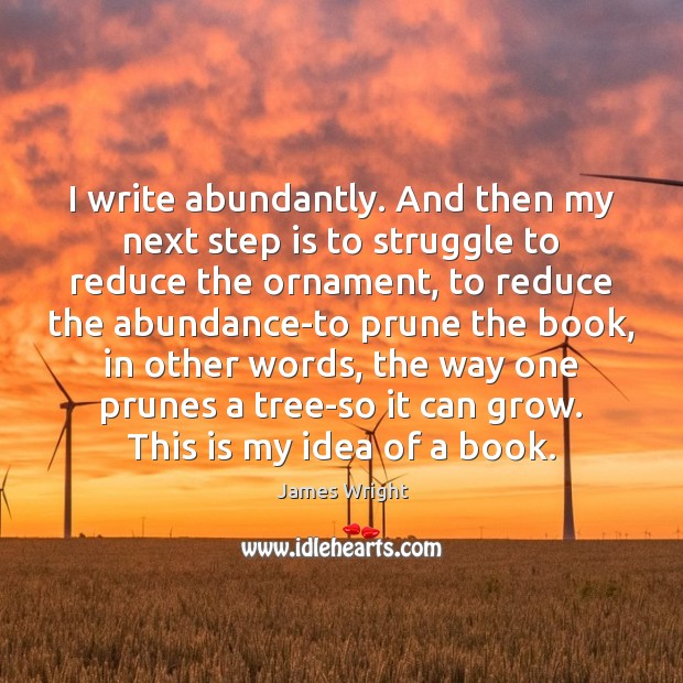 I write abundantly. And then my next step is to struggle to James Wright Picture Quote