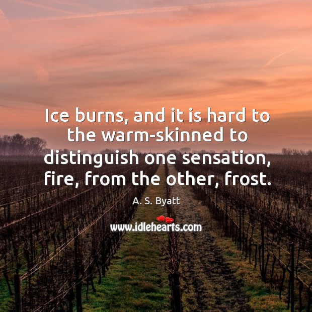Ice burns, and it is hard to the warm-skinned to distinguish one A. S. Byatt Picture Quote
