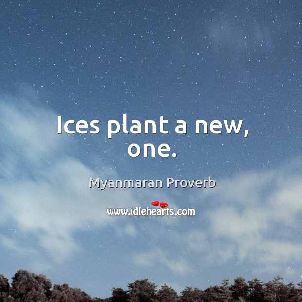 Ices plant a new, one. Myanmaran Proverbs Image