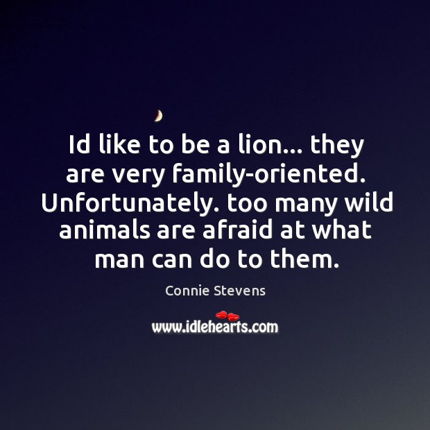 Id like to be a lion… they are very family-oriented. Unfortunately. too Image