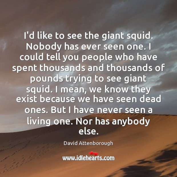 I’d like to see the giant squid. Nobody has ever seen one. David Attenborough Picture Quote