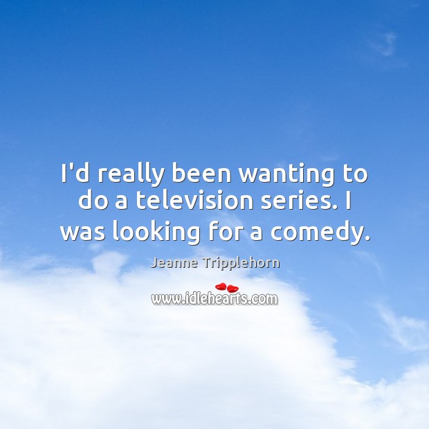 I’d really been wanting to do a television series. I was looking for a comedy. Image