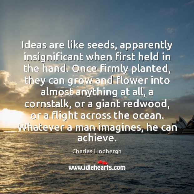 Ideas are like seeds, apparently insignificant when first held in the hand. Charles Lindbergh Picture Quote