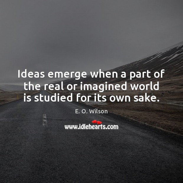 Ideas emerge when a part of the real or imagined world is studied for its own sake. E. O. Wilson Picture Quote