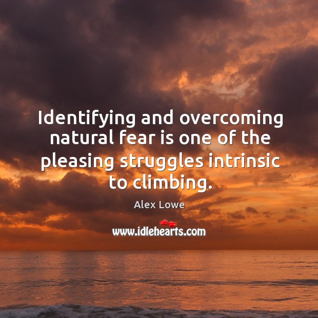 Identifying and overcoming natural fear is one of the pleasing struggles intrinsic to climbing. Alex Lowe Picture Quote