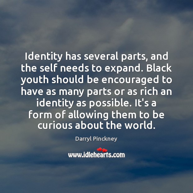Identity has several parts, and the self needs to expand. Black youth Darryl Pinckney Picture Quote