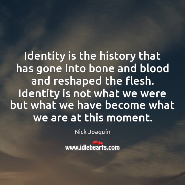Identity is the history that has gone into bone and blood and Nick Joaquín Picture Quote