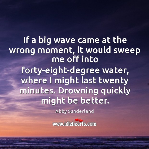 If a big wave came at the wrong moment, it would sweep Abby Sunderland Picture Quote