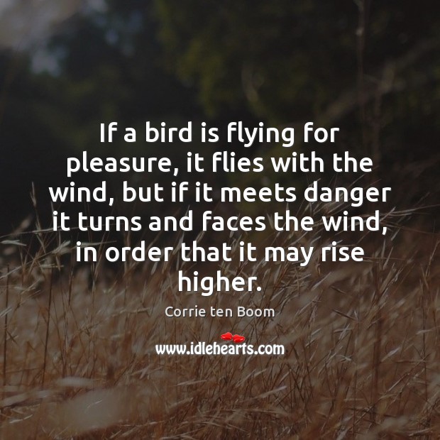 If a bird is flying for pleasure, it flies with the wind, Corrie ten Boom Picture Quote