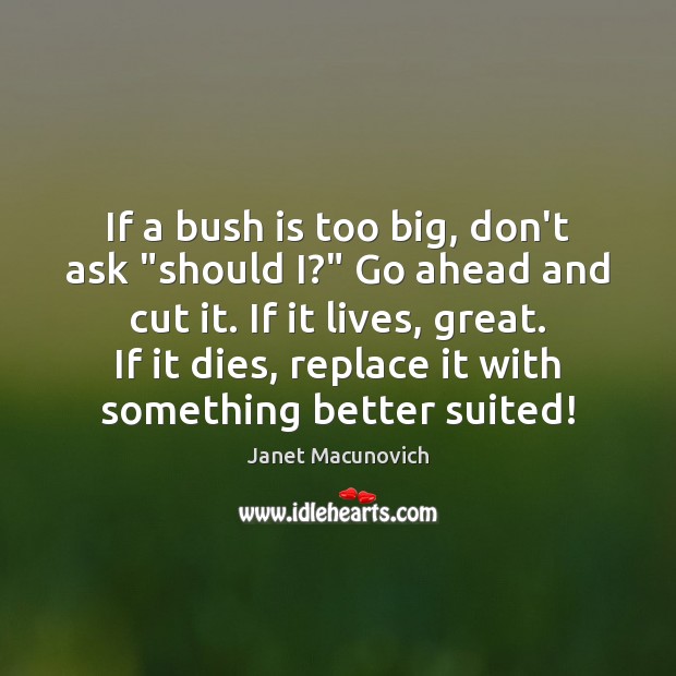 If a bush is too big, don’t ask “should I?” Go ahead Janet Macunovich Picture Quote