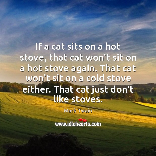 If a cat sits on a hot stove, that cat won’t sit Mark Twain Picture Quote