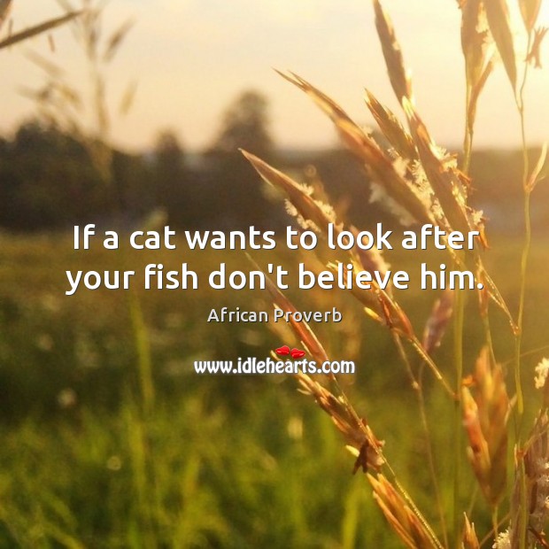 If a cat wants to look after your fish don’t believe him. African Proverbs Image