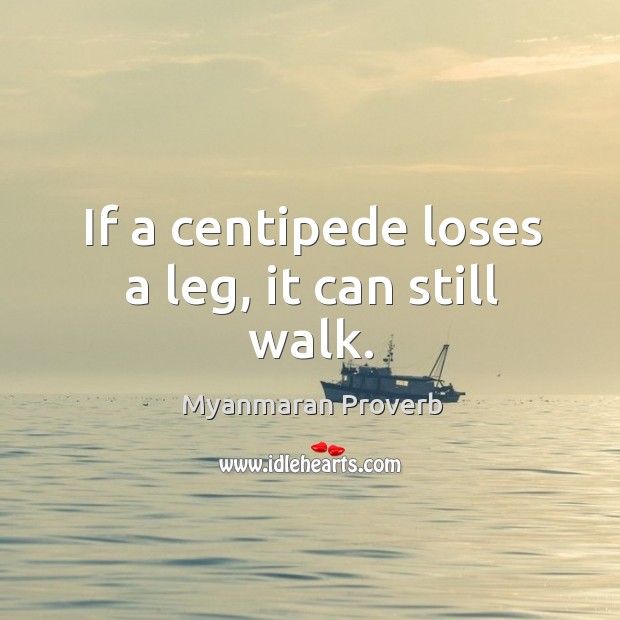 If a centipede loses a leg, it can still walk. Myanmaran Proverbs Image