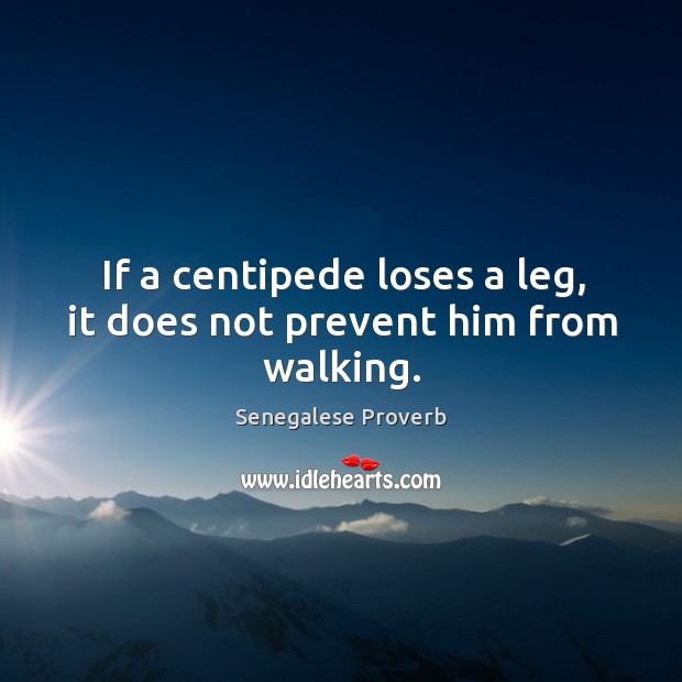 If a centipede loses a leg, it does not prevent him from walking. Senegalese Proverbs Image