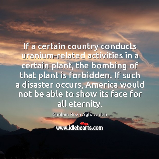 If a certain country conducts uranium-related activities in a certain plant, the Image