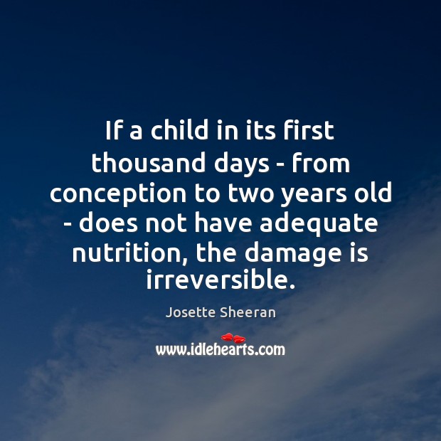 If a child in its first thousand days – from conception to Image