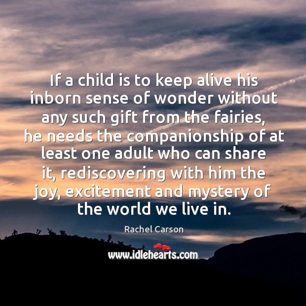 If a child is to keep alive his inborn sense of wonder without any such gift from the fairies Rachel Carson Picture Quote