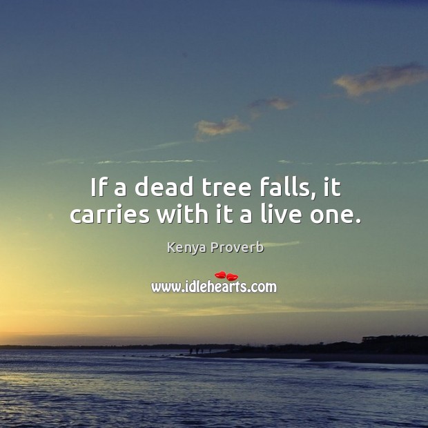 If a dead tree falls, it carries with it a live one. Kenya Proverbs Image