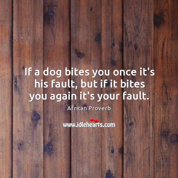 If a dog bites you once it’s his fault, but if it bites you again it’s your fault. African Proverbs Image