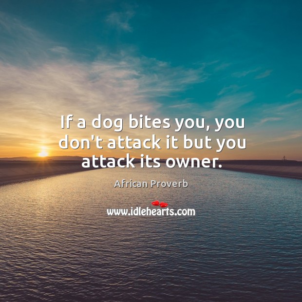 If a dog bites you, you don’t attack it but you attack its owner. African Proverbs Image