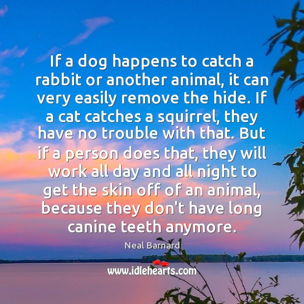 If a dog happens to catch a rabbit or another animal, it Neal Barnard Picture Quote