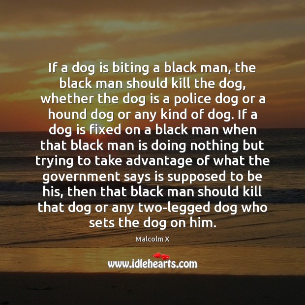 If a dog is biting a black man, the black man should Image