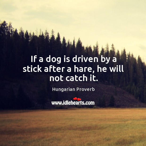 If a dog is driven by a stick after a hare, he will not catch it. Image