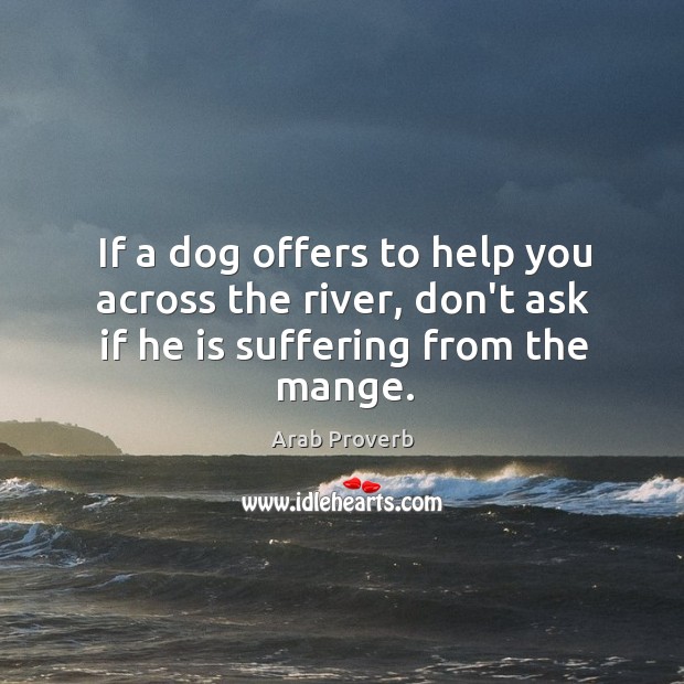 If a dog offers to help you across the river, don’t ask if he is suffering from the mange. Arab Proverbs Image
