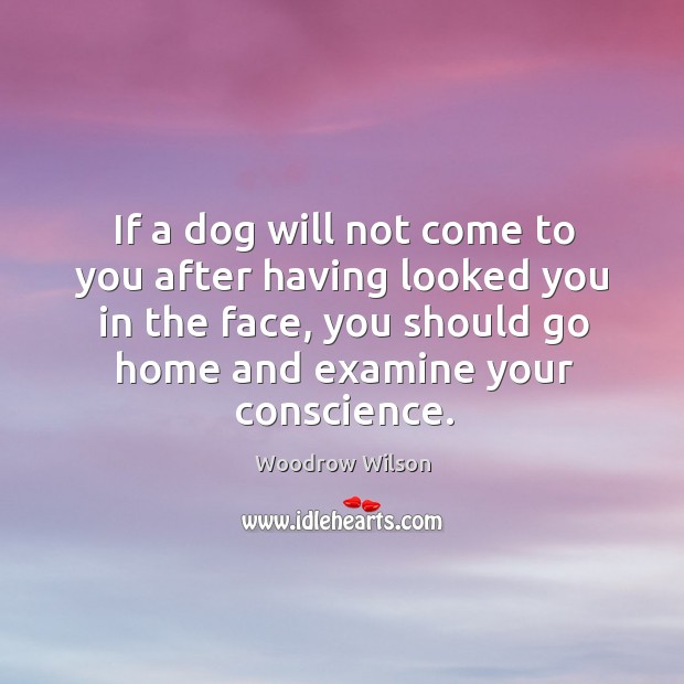 If a dog will not come to you after having looked you in the face, you should go home and Image