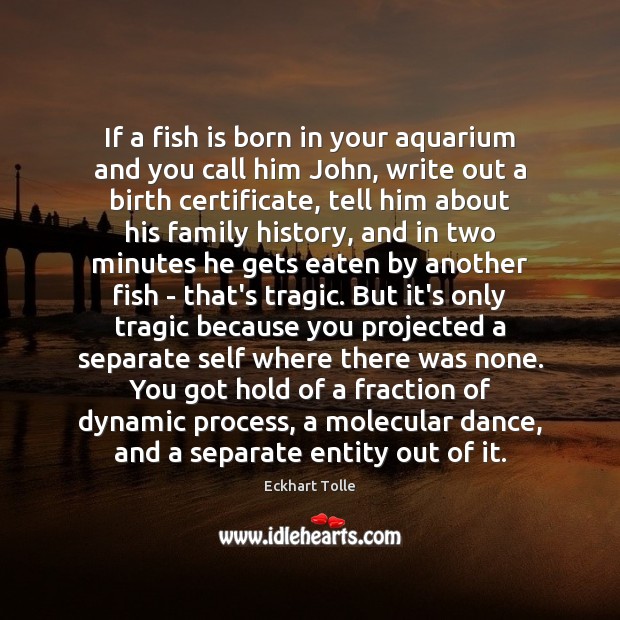 If a fish is born in your aquarium and you call him Eckhart Tolle Picture Quote