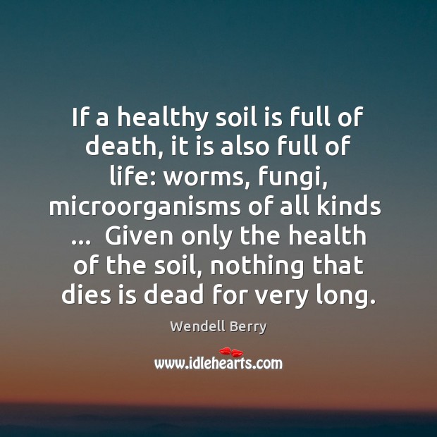 If a healthy soil is full of death, it is also full Wendell Berry Picture Quote