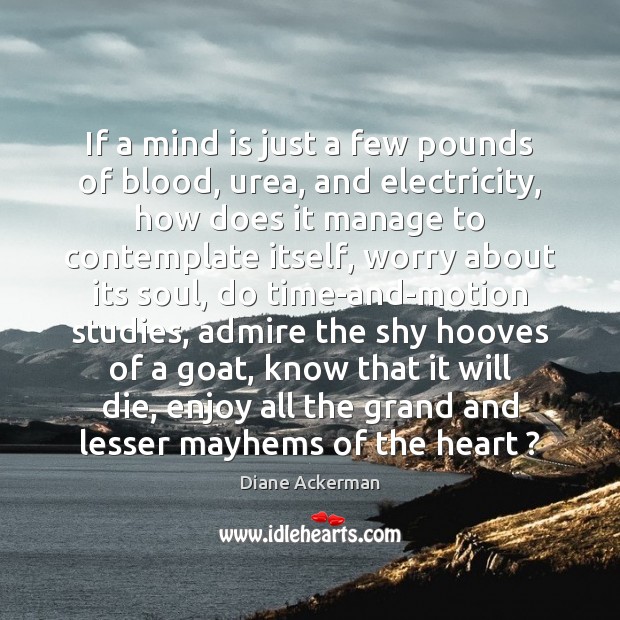 If a mind is just a few pounds of blood, urea, and Diane Ackerman Picture Quote