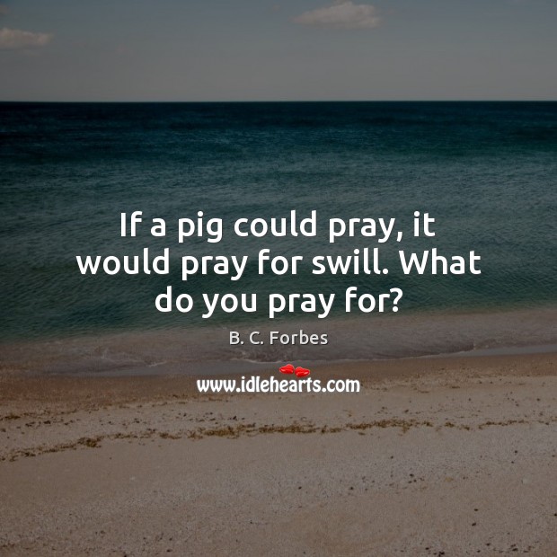 If a pig could pray, it would pray for swill. What do you pray for? B. C. Forbes Picture Quote