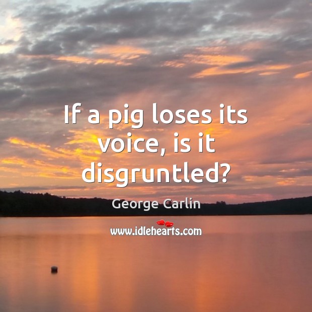 If a pig loses its voice, is it disgruntled? George Carlin Picture Quote