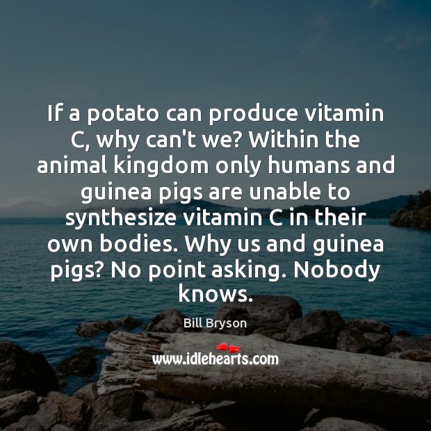If a potato can produce vitamin C, why can’t we? Within the Bill Bryson Picture Quote