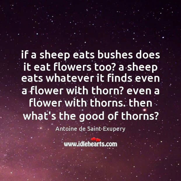 If a sheep eats bushes does it eat flowers too? a sheep Antoine de Saint-Exupery Picture Quote