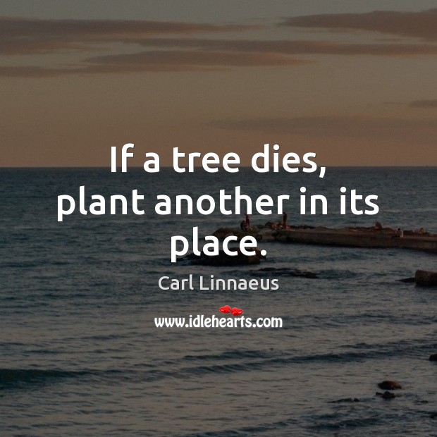 If a tree dies, plant another in its place. Carl Linnaeus Picture Quote