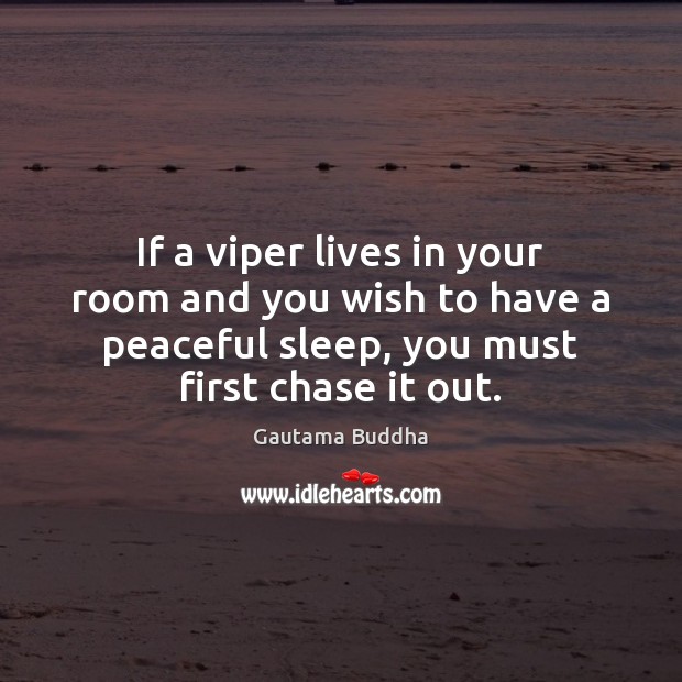 If a viper lives in your room and you wish to have Gautama Buddha Picture Quote