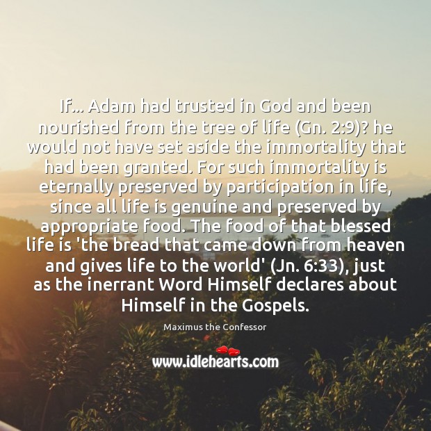 If… Adam had trusted in God and been nourished from the tree Maximus the Confessor Picture Quote