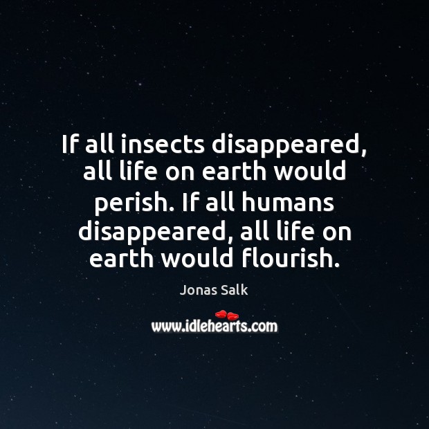 If all insects disappeared, all life on earth would perish. If all Jonas Salk Picture Quote