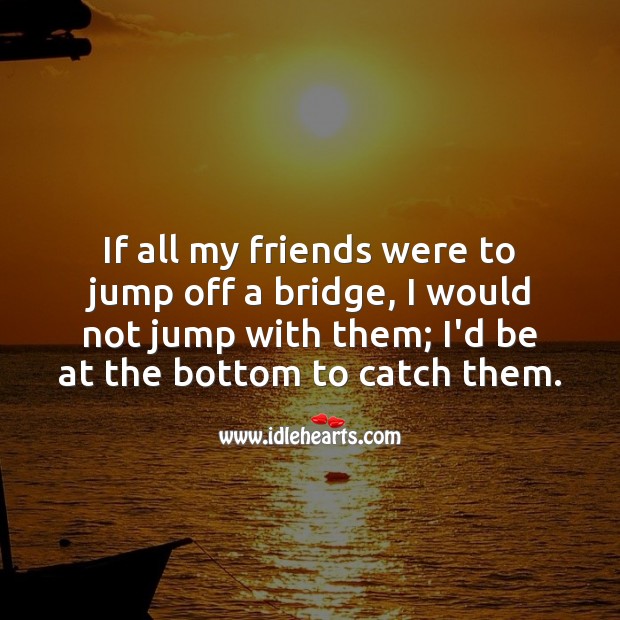 If all my friends were to jump off a bridge Image