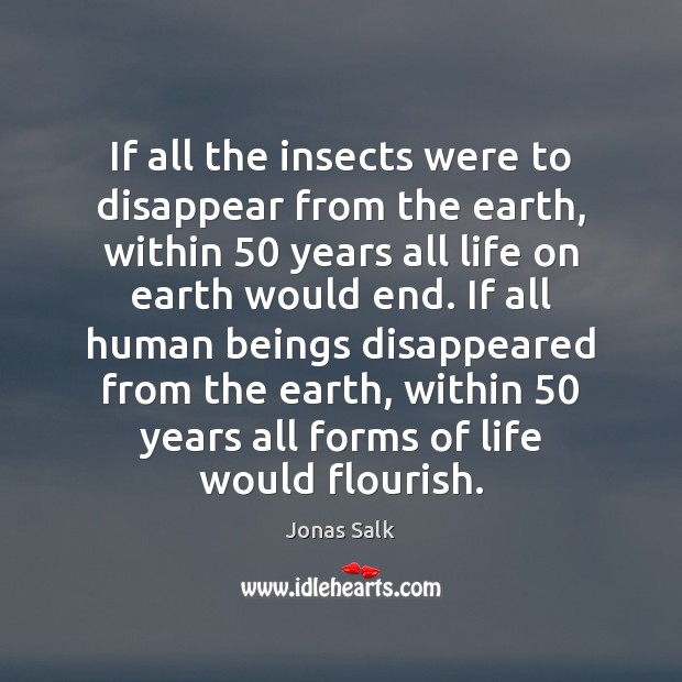 If all the insects were to disappear from the earth, within 50 years Jonas Salk Picture Quote