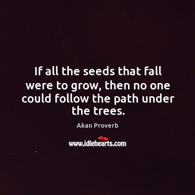If all the seeds that fall were to grow, then no one could follow Akan Proverbs Image