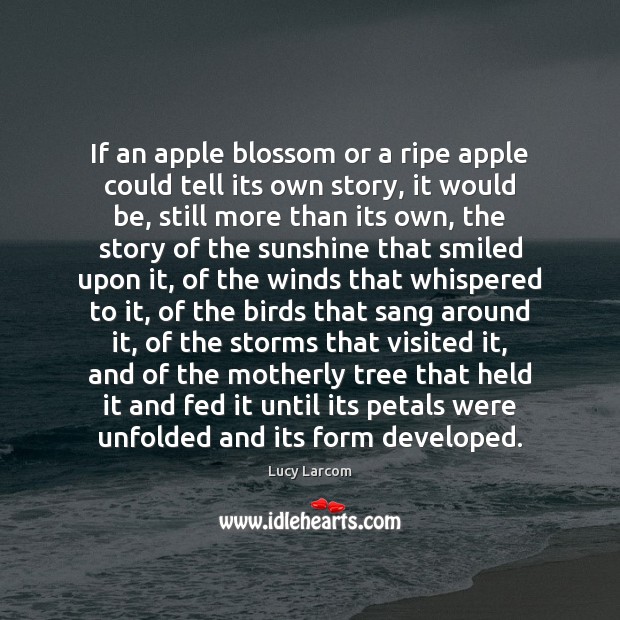 If an apple blossom or a ripe apple could tell its own Lucy Larcom Picture Quote