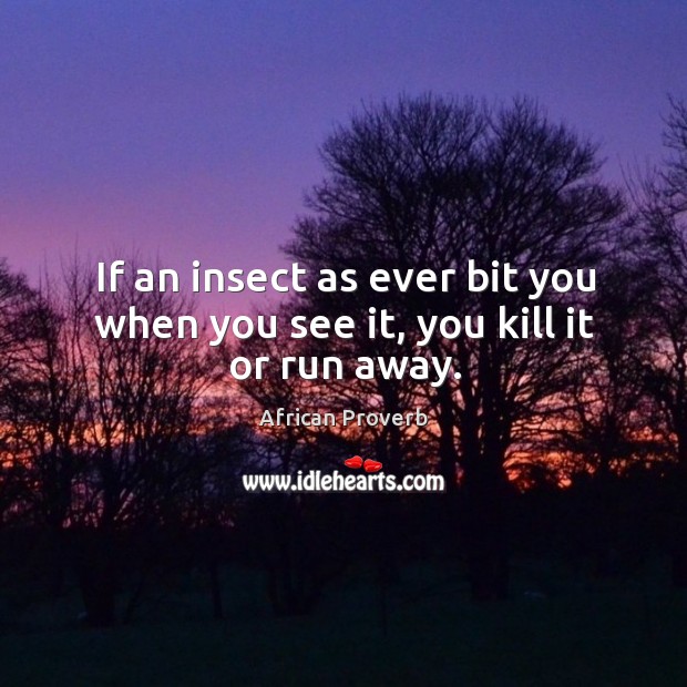 If an insect as ever bit you when you see it, you kill it or run away. African Proverbs Image